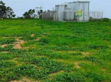 阳春市回头龙风电场项目