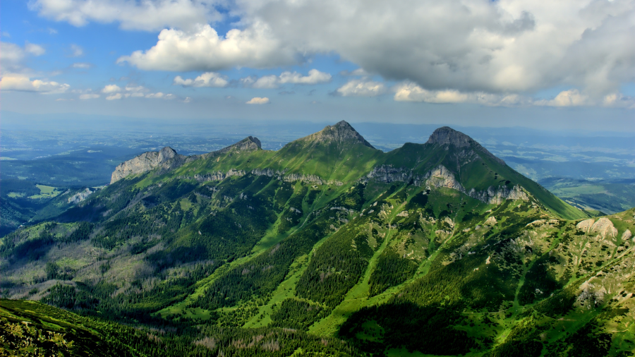 哪些情况下编制环境影响报告书?